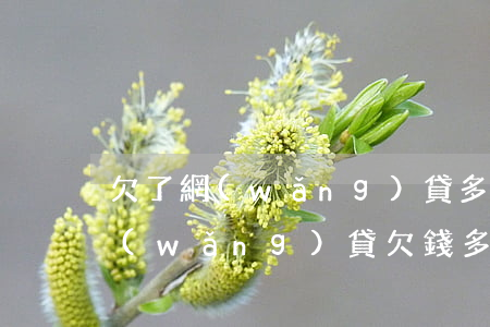 欠了網(wǎng)貸多久起訴？(網(wǎng)貸欠錢多久會上征信)
